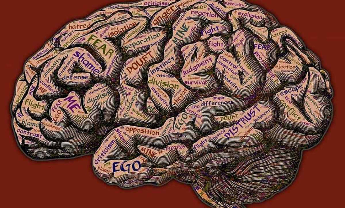 Come liberarsi dallo stress e vivere in armonia - Fontana Editore