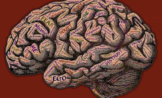 Come liberarsi dallo stress e vivere in armonia - Fontana Editore