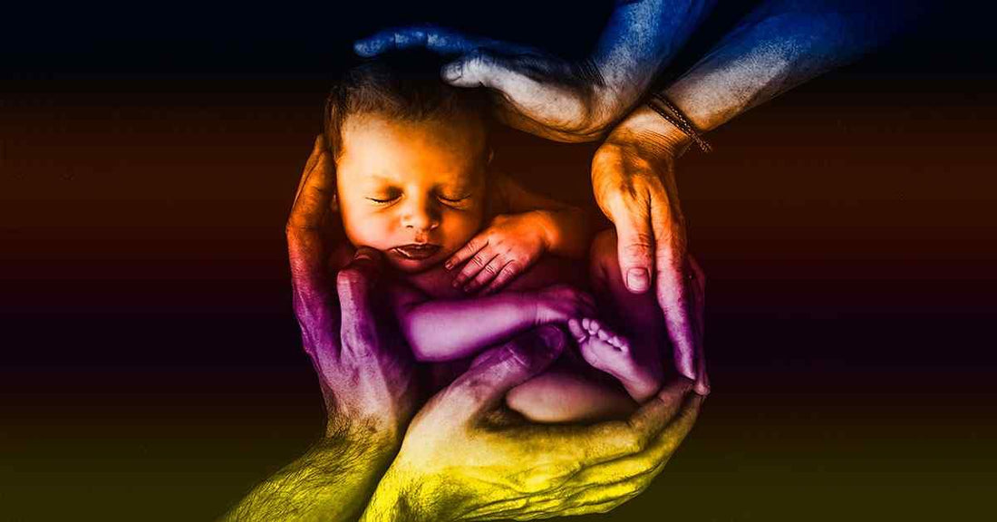 La Pedagogia del Bambino Vero. Intervista con Nicoletta Geniola - Fontana Editore
