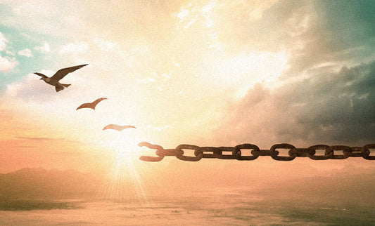 Liberare i propri figli dalla “catena” delle relazioni tossiche -1 - Fontana Editore