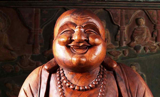 Non bisogna meditare per forza - Fontana Editore