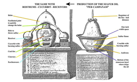 The admirable efficacy and almost incredible virtue of True Oil - Fontana Editore
