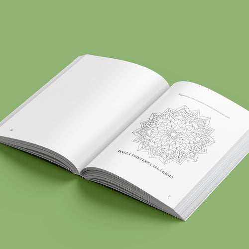 L'ombra di Omero - Fontana Editore