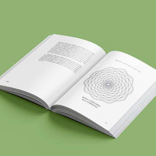 L'ombra di Omero - Fontana Editore