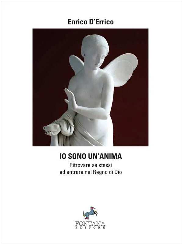 Io sono un'anima - Fontana Editore