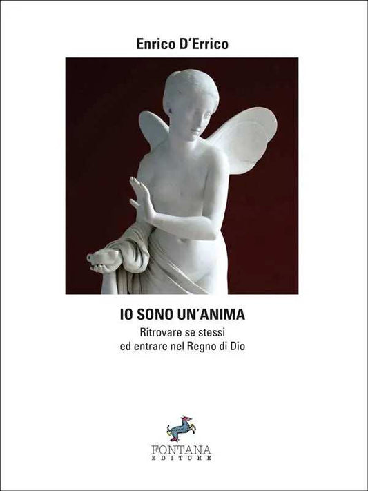 Io sono un'anima - Fontana Editore