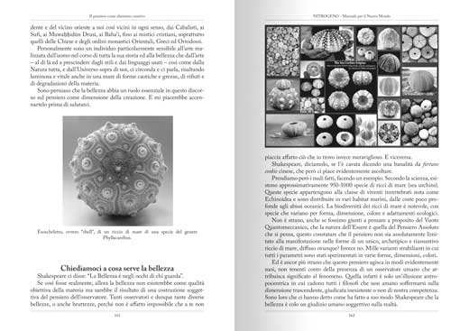 Offerta Speciale: Due Numeri di Nitrogeno - Manuale per il Nuovo Mondo - Fontana Editore