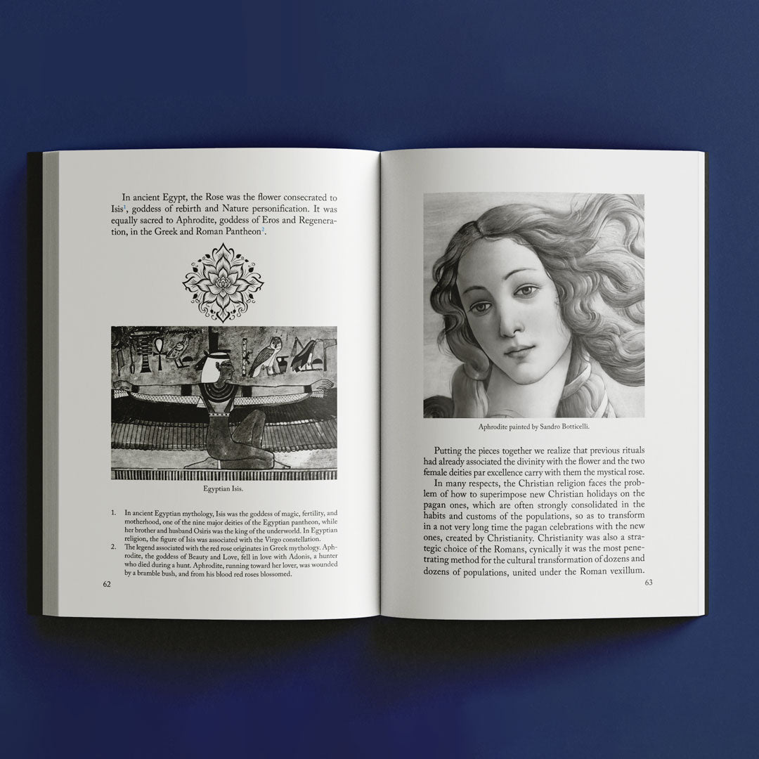 The Medieval Rose Windows - 62-63