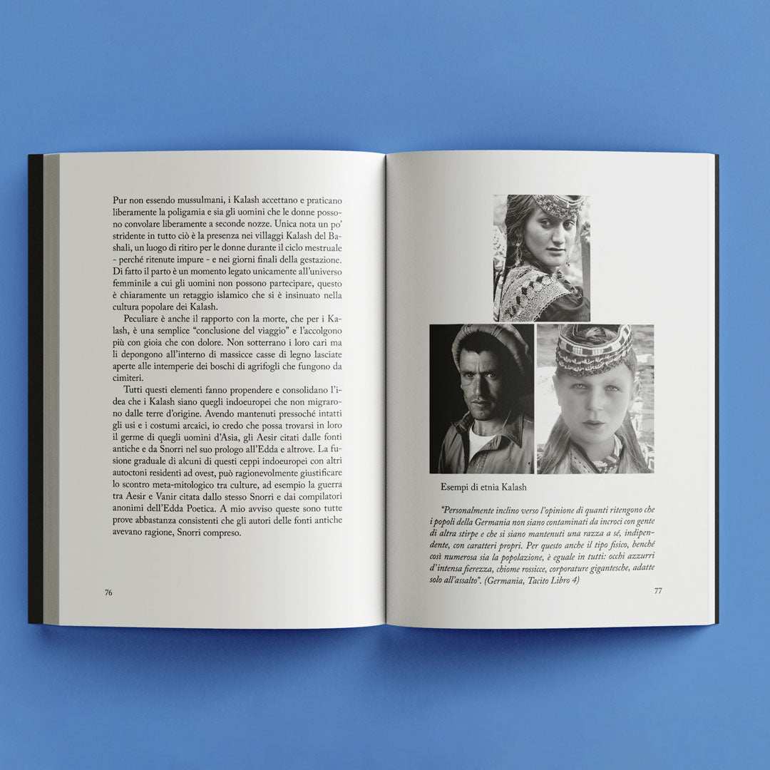 Il dono del Cervo - Fontana Editore
