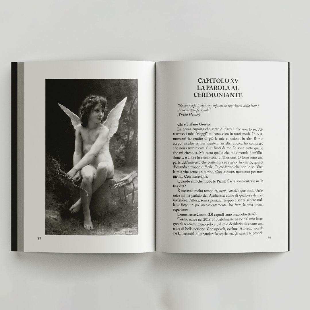 Altri stati di coscienza e altre verità - Fontana Editore