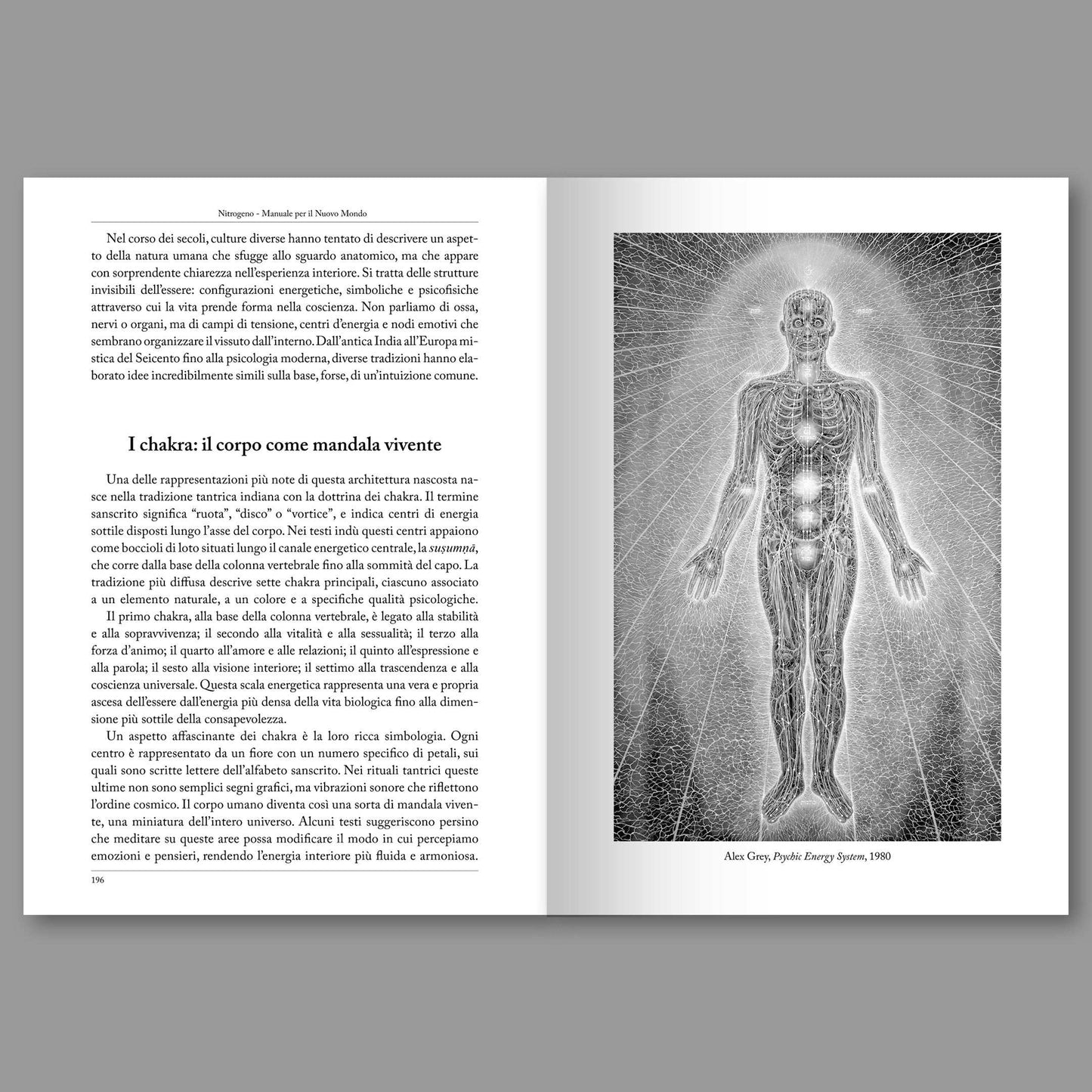 Nitrogeno #05 – L'Anatomia Sottile dell'Uomo