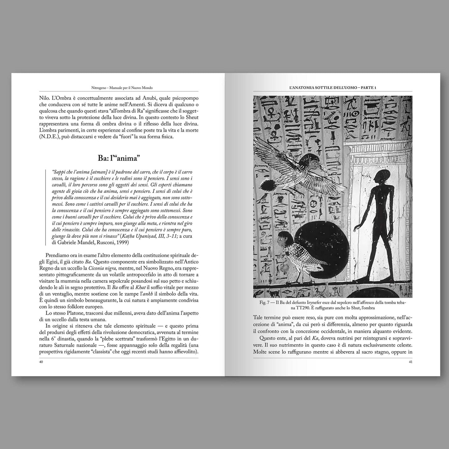Doppia pagina interna — Nitrogeno #05 L'Anatomia Sottile dell'Uomo | Fontana Editore