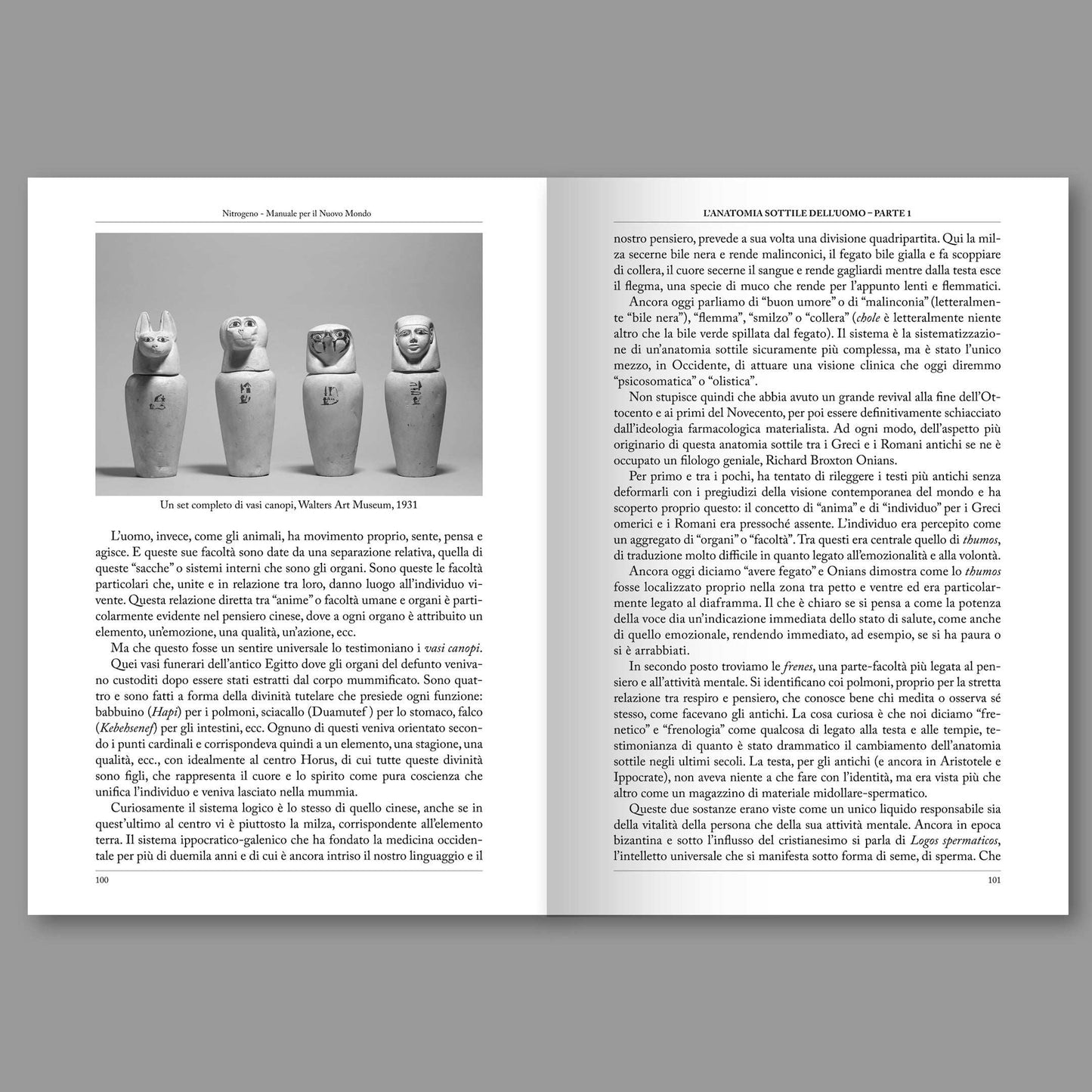 Pagina interna — fisiologia occulta delle tradizioni esoteriche | Nitrogeno #05