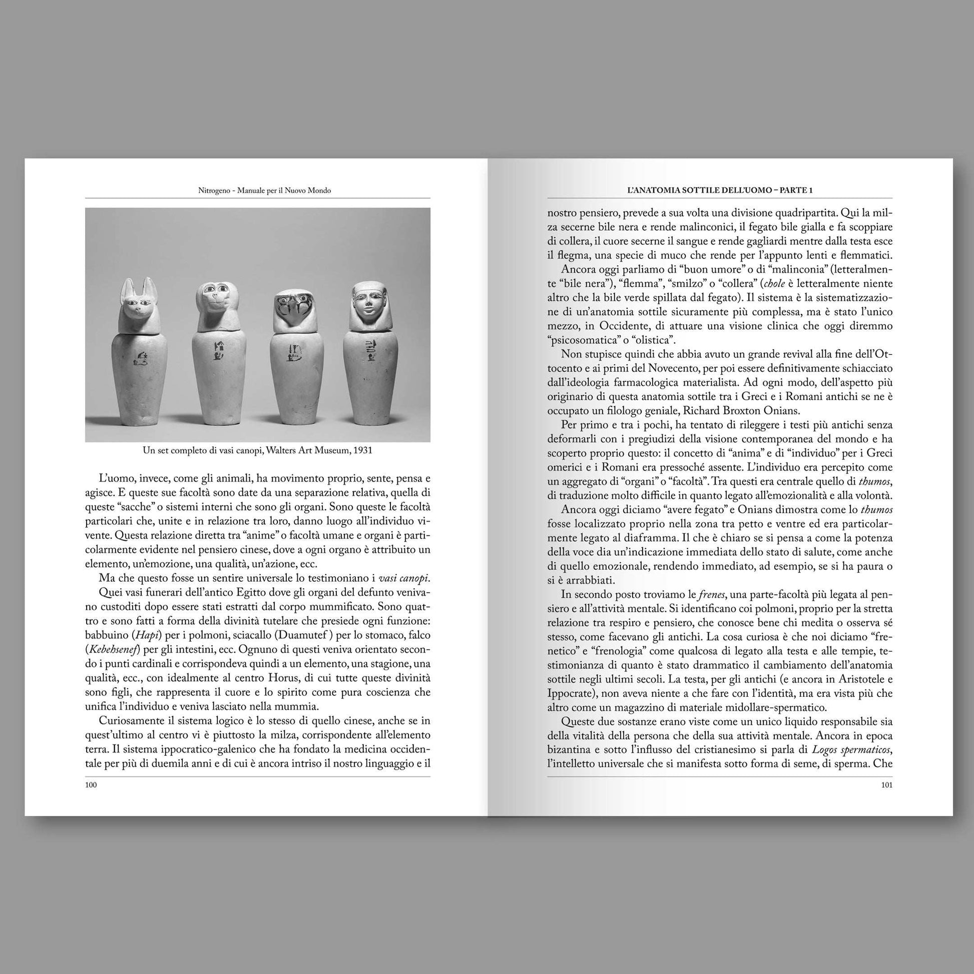 Pagina interna — fisiologia occulta delle tradizioni esoteriche | Nitrogeno #05