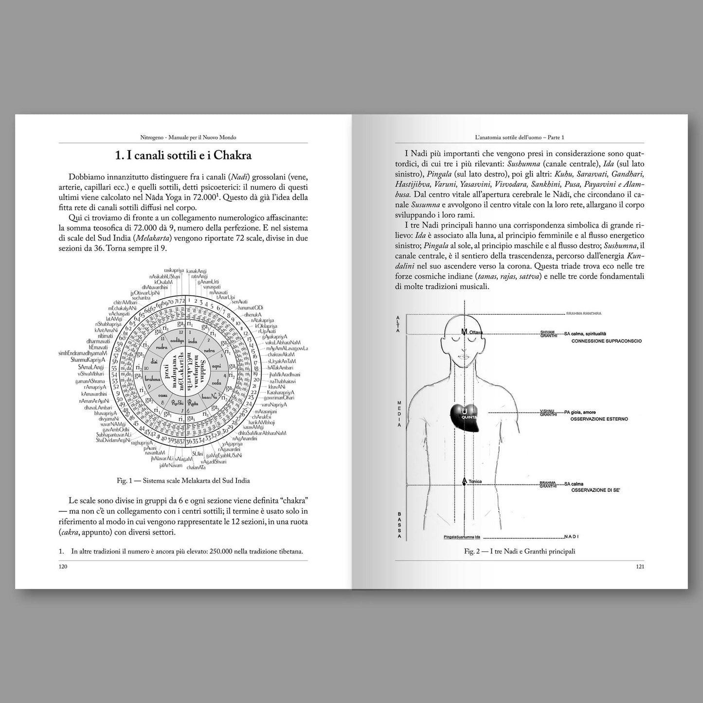 Nitrogeno #05 – L'Anatomia Sottile dell'Uomo