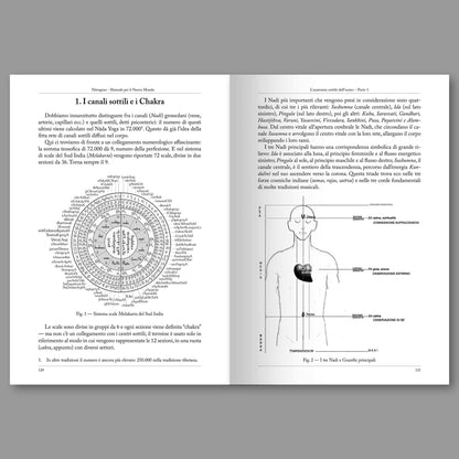 Nitrogeno #05 – L'Anatomia Sottile dell'Uomo