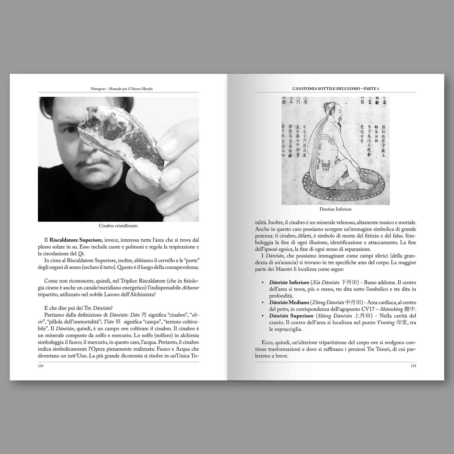 Nitrogeno #05 – L'Anatomia Sottile dell'Uomo